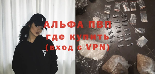 мяу мяу мука Абаза