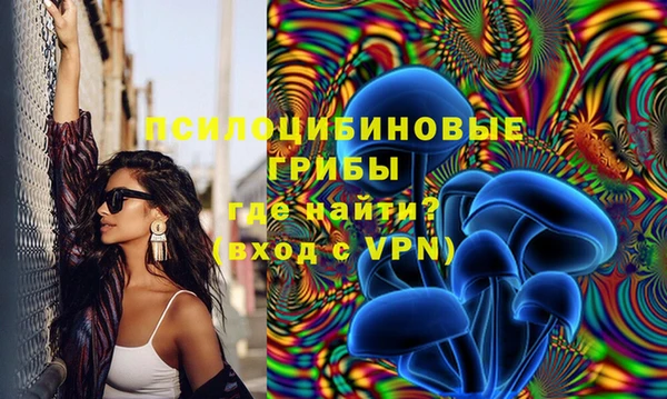 мяу мяу мука Абаза