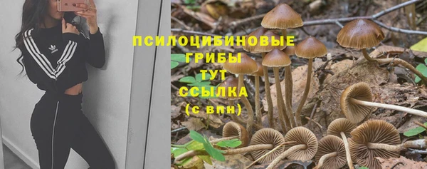 мяу мяу мука Абаза