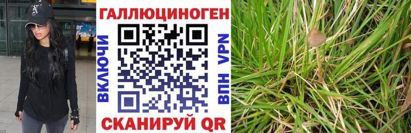 Псилоцибиновые грибы Cubensis  наркота  Инсар 